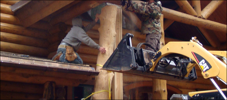 Log Home Log Replacement  Garrard County, Kentucky
